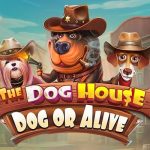 The Dog House dan Dog O’ Alive: Slot Gacor Bertema Anjing yang Bikin Ketagihan