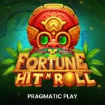 Pengenalan tentang Fortune Hit n Roll